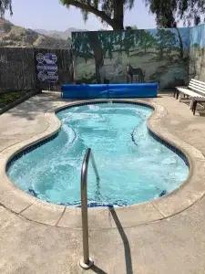 Olive Dell Ranch - Pool